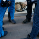 Illustration for article titled The Dogs Of Sochi